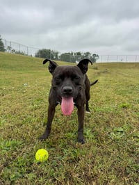Esther - Fee Waived - Photo 3