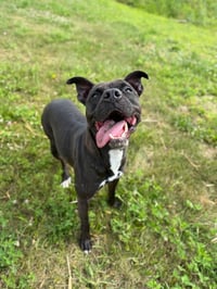 Esther - Fee Waived - Photo 4