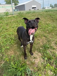 Esther - Fee Waived - Photo 3