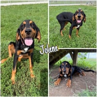 Jolene - Photo 1