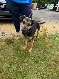Fritz - Photo 3