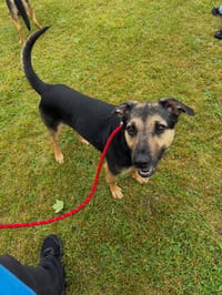 Fritz - Photo 4