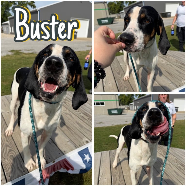 Buster Image