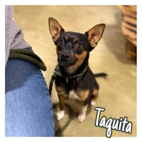 Taquita - Photo 1