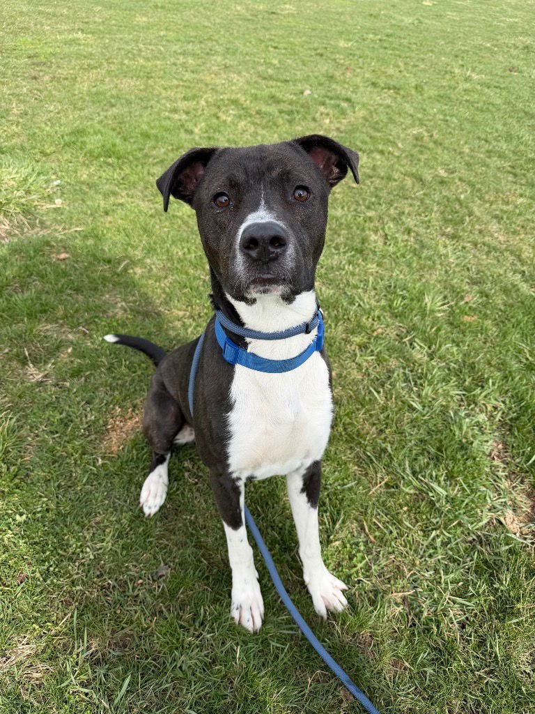 Big Handsome - Photo 3