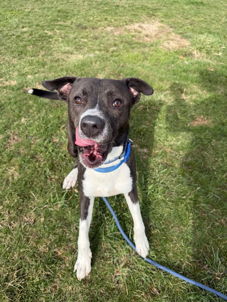 Big Handsome - Photo 4