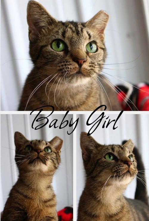BABY GIRL
