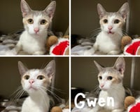 Gwen- retired momma - Photo 1