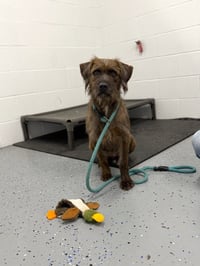 Ahsoka - Call for appt - Photo 4