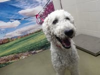 JACK - Photo 1