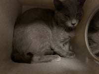 A554117 - Photo 1