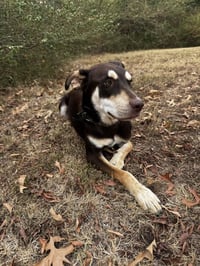 Cash Outlaw - Photo 2