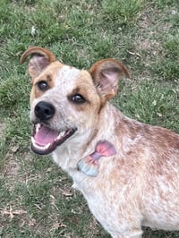 Luna MacKenzie - Photo 1