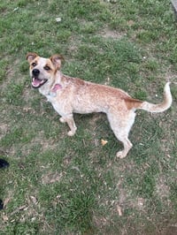 Luna MacKenzie - Photo 2