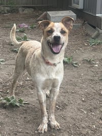 Luna MacKenzie - Photo 3