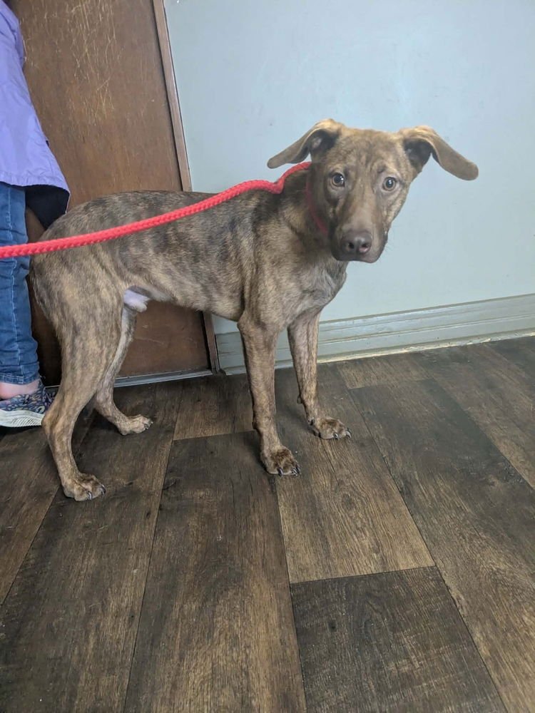 Cypress Woods - Photo 3