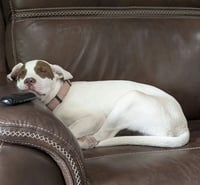 Karli - Photo 3