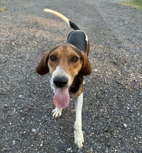 Jethro Bodine - Photo 4