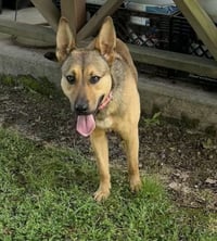 Skye - Photo 2