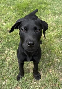 Tucker Man - Photo 2