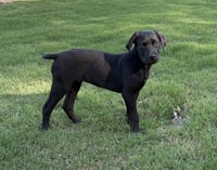 Tucker Man - Photo 3