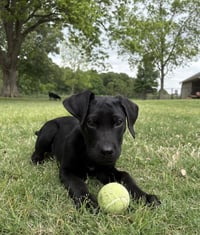 Tucker Man - Photo 4
