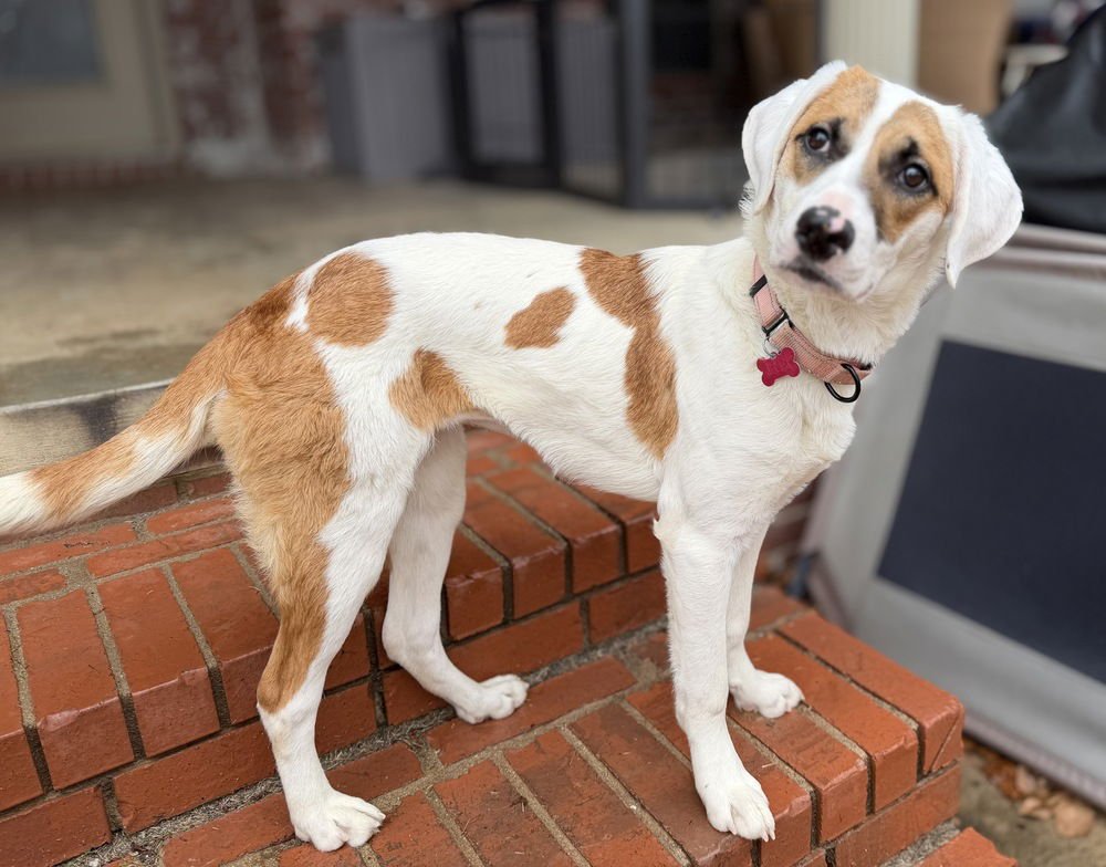 Fallon Feather - Photo 3