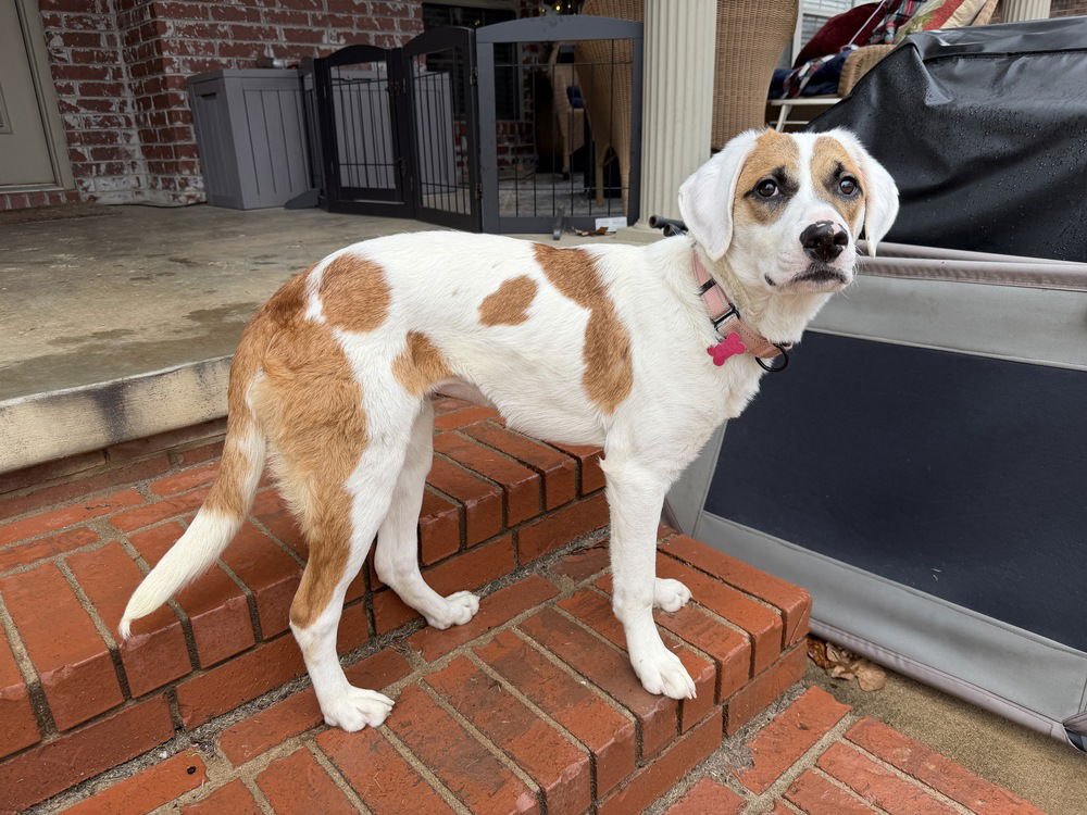 Fallon Feather - Photo 4