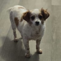 Eloise - Photo 4