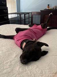 Delilah - Photo 4