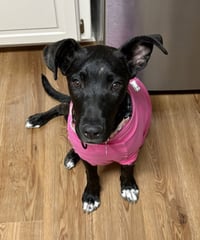 Delilah - Photo 3