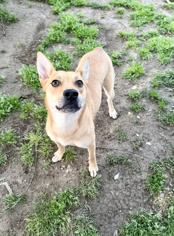 Cindy Image