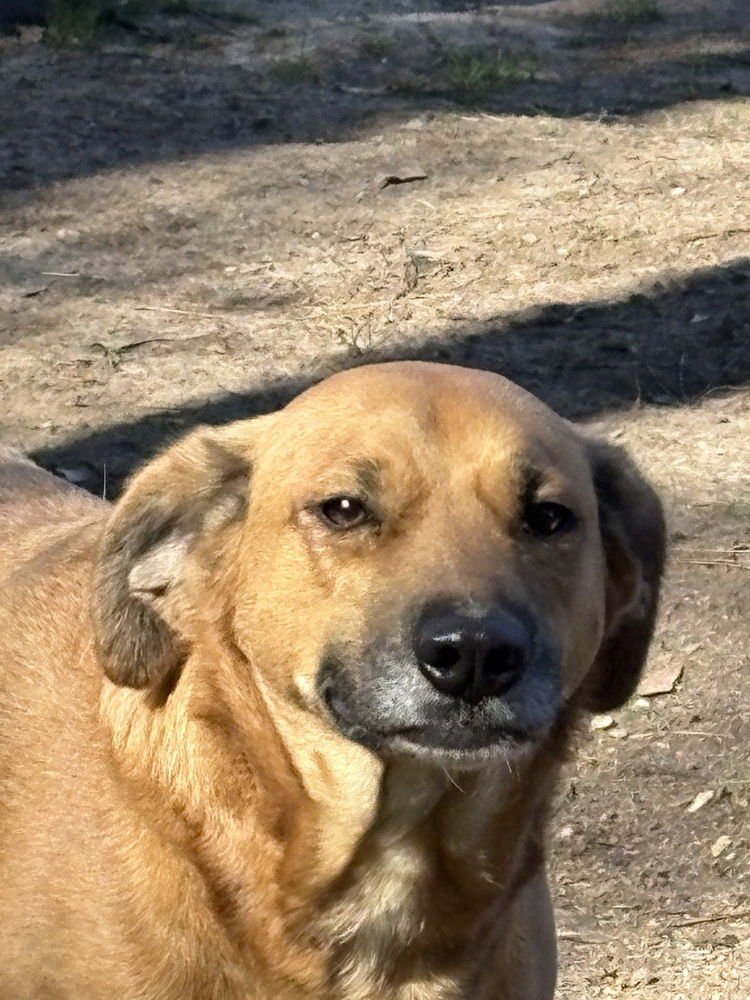 Piper Burton - Photo 3