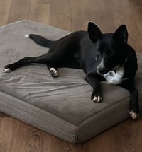 Mindy - Photo 3