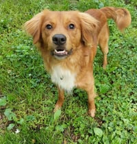 Ezekiel - Photo 2