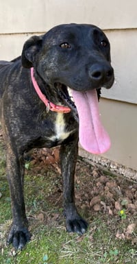 Ripley - Photo 4