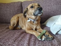 Piper Burton - Photo 4