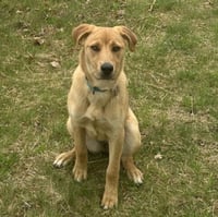 Livie-Lucy Ball - Photo 4