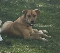 Livie-Lucy Ball - Photo 2