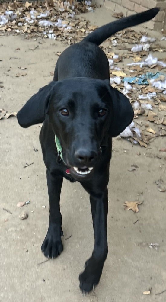 Luna Galaxy - Photo 3