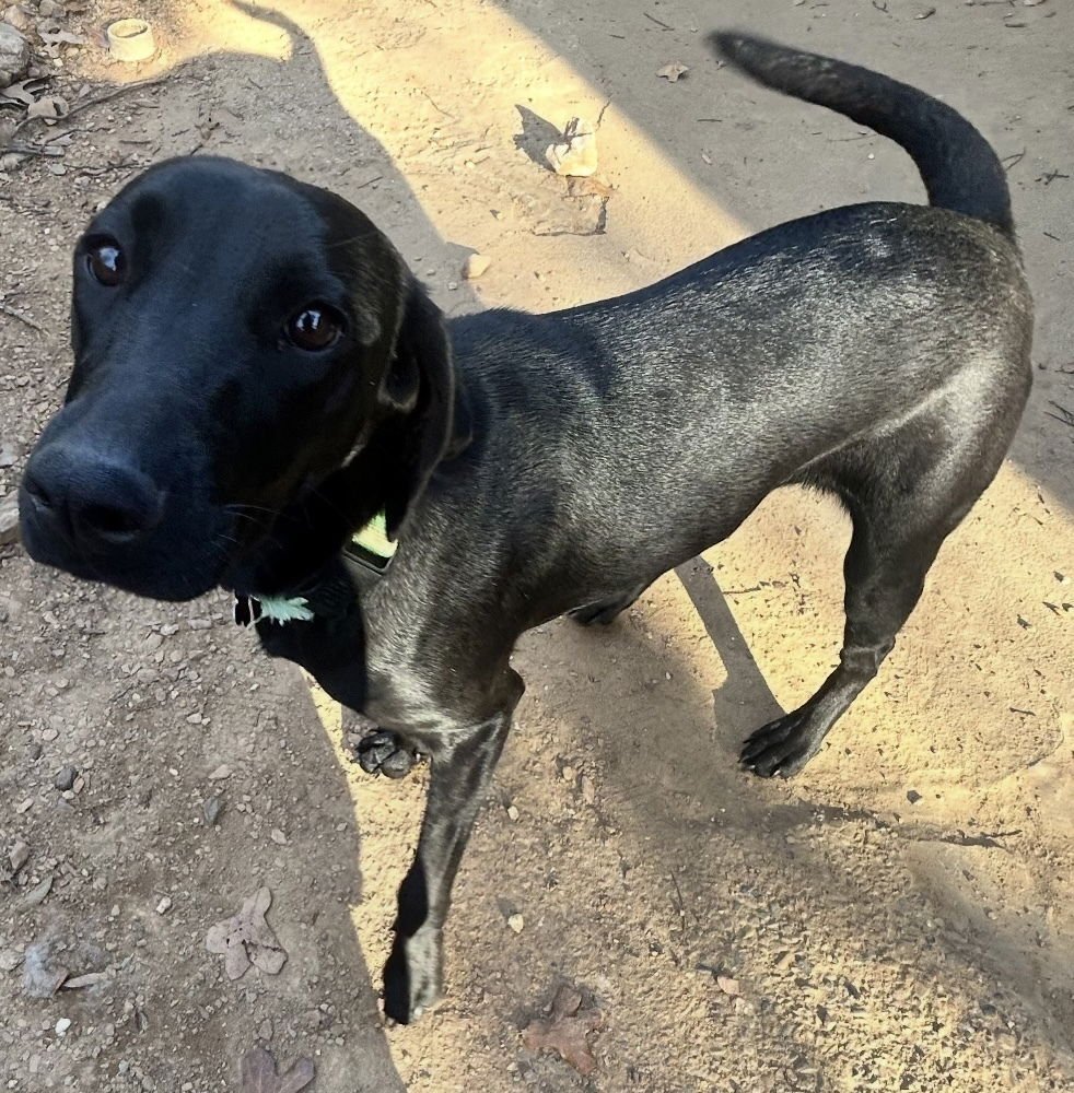 Luna Galaxy - Photo 4