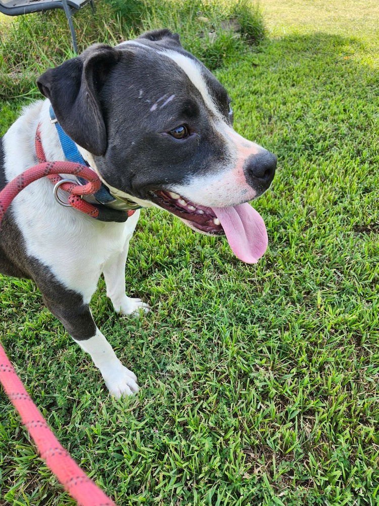 Daisy June - Photo 3