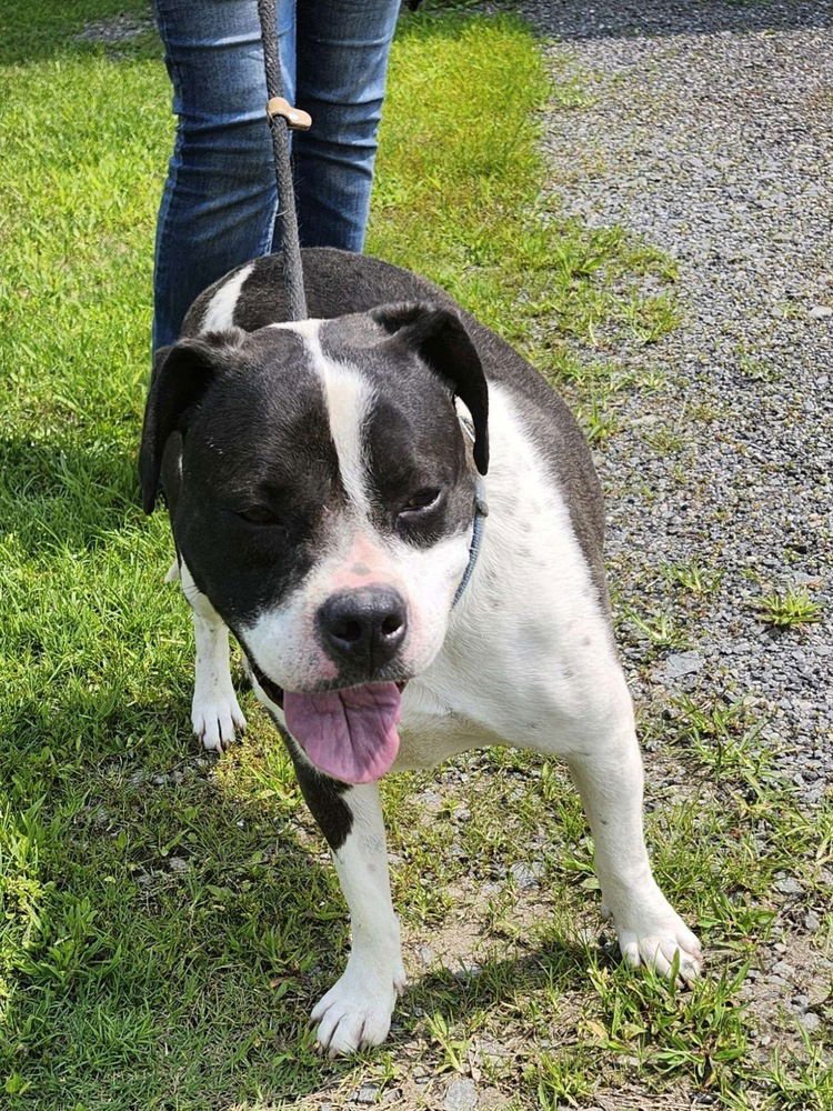 Daisy June - Photo 4