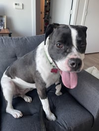 Daisy June - Photo 4