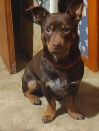 Freddie - Photo 4