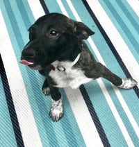 Coco Preschool - Photo 2