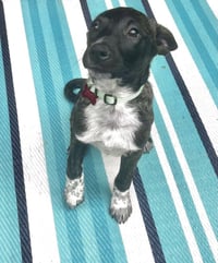 Coco Preschool - Photo 3