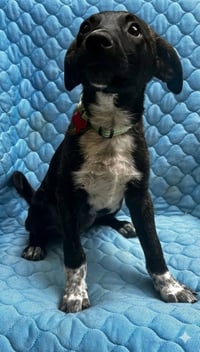 Coco Preschool - Photo 4
