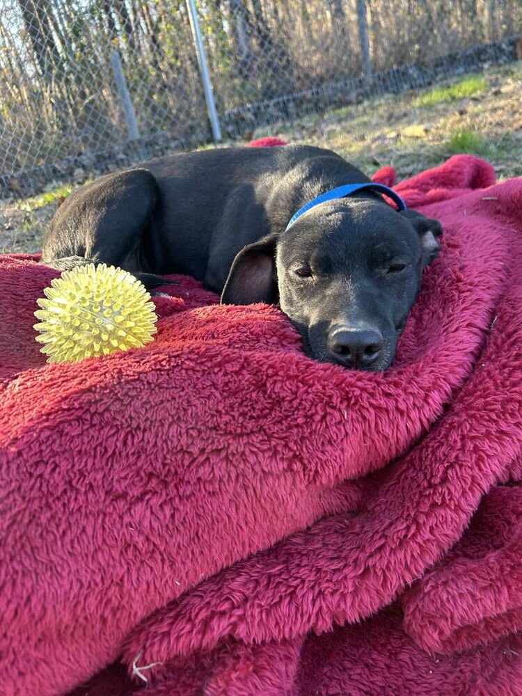 Ozzy Ashcraft - Photo 4