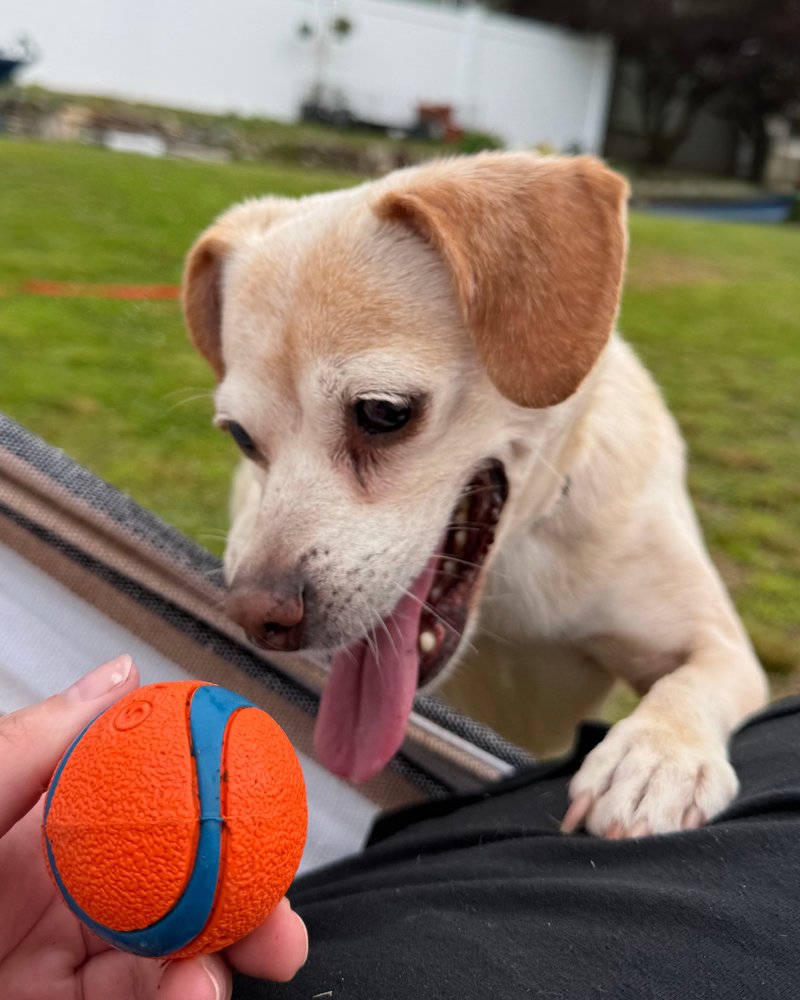 Daisy Dixie - Photo 3